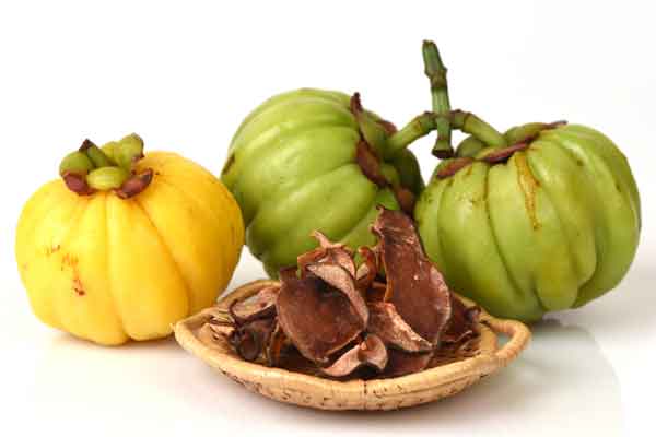 Garcinia Extract-ugcpharma