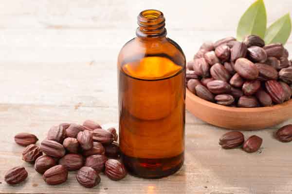 Jojoba Oil-ugcpharma