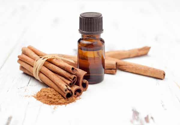 Cinnamon Oil-ugcpharma