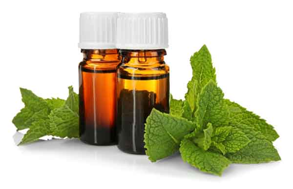 Peppermint Oil-ugcpharma